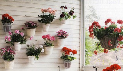 Ban công thật lãng mạn cho nhà bạn 