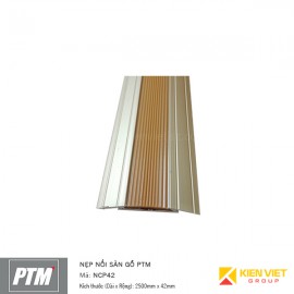 Nẹp nối sàn gỗ PTM | NCP42