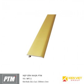 Nẹp sàn nhựa PTM | MF11
