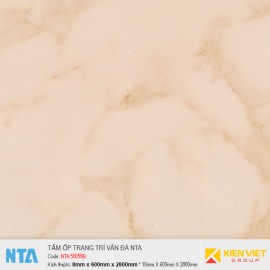 Tấm ốp tường trần vân đá NTA 50059B | 8mm
