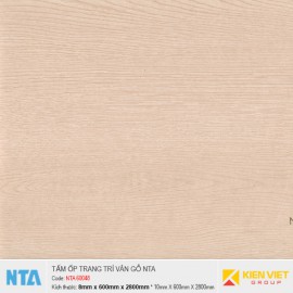 Tấm ốp nhựa đá vân gỗ NTA 60048 | 8mm