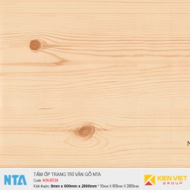 Tấm ốp nhựa đá vân gỗ NTA 60124 | 8mm
