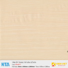 Tấm ốp nhựa đá vân gỗ NTA 60171 | 8mm