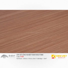 Sàn gỗ công nghiệp Rainforest IR-89 AC4 | 8mm