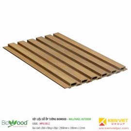 Gỗ ốp tường 198x12mm Biowood WPO19812