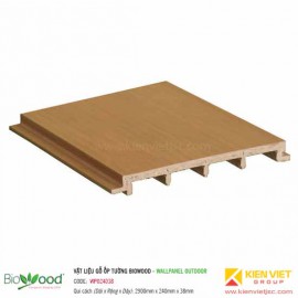 Gỗ ốp tường 240x28mm Biowood WPO24028