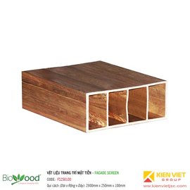 Lam trang trí 250x100mm Biowood FS250100A