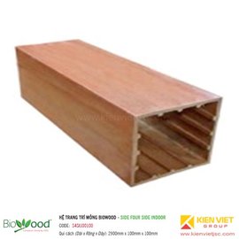Thanh định hình mỏng 100x100mm Biowood S4SI100100