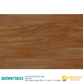 Sàn gỗ công nghiệp Borneo BN19 | 12m