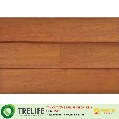Tấm ốp tường tre ngoài trời TRELIFE CTECH| ES12