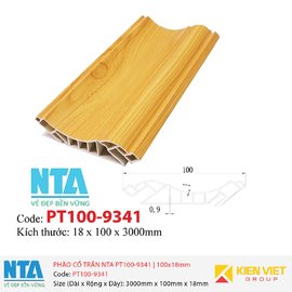 Phào cổ trần NTA PT100-9341 | 100x18mm