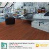 Sàn gỗ Inovar Durashine DV703 Glen Doussie | 12mm
