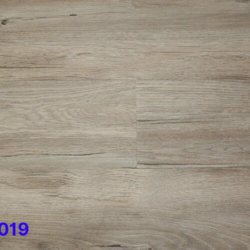 Sàn nhựa dán keo Galaxy MSW 9019 2.5mm