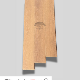 Sàn Gỗ Rainforest 12mm AT010