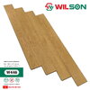 Sàn gỗ công nghiệp Wilson W446 | 8mm