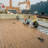 Gỗ nhựa ngoài trời Inovar Decking - WEM1079