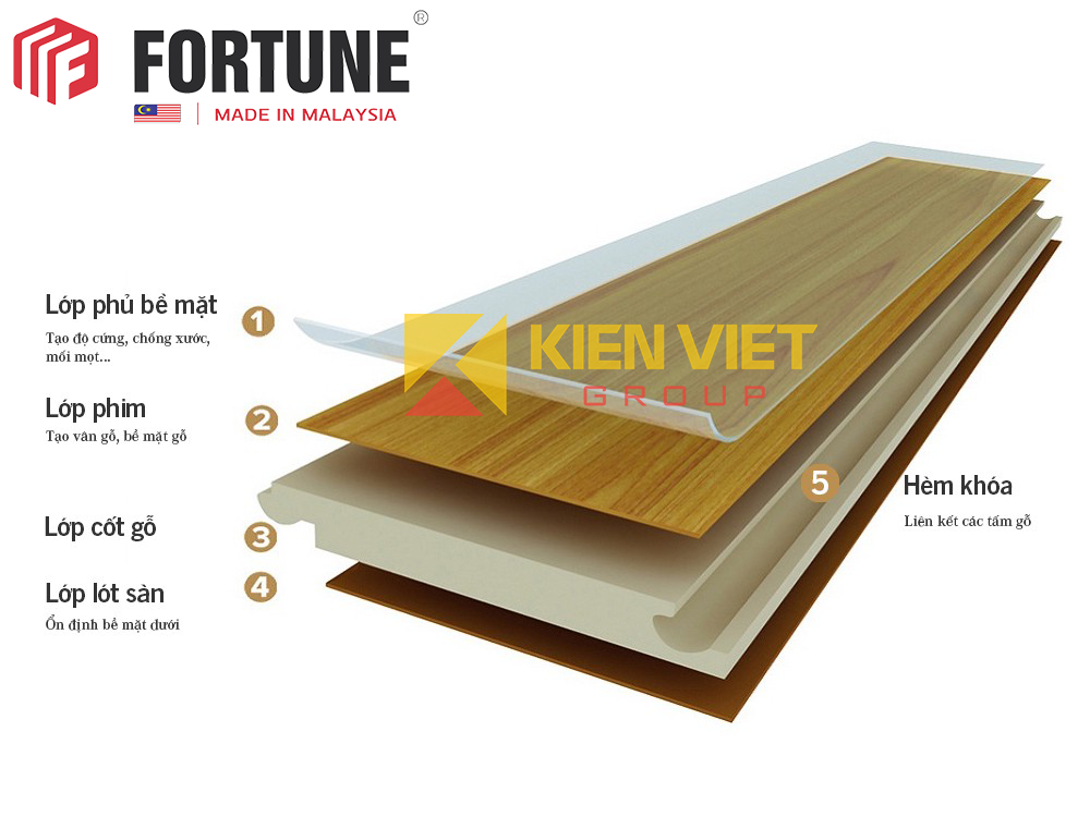 cấu tạo sàn gỗ công nghiệp Fortune