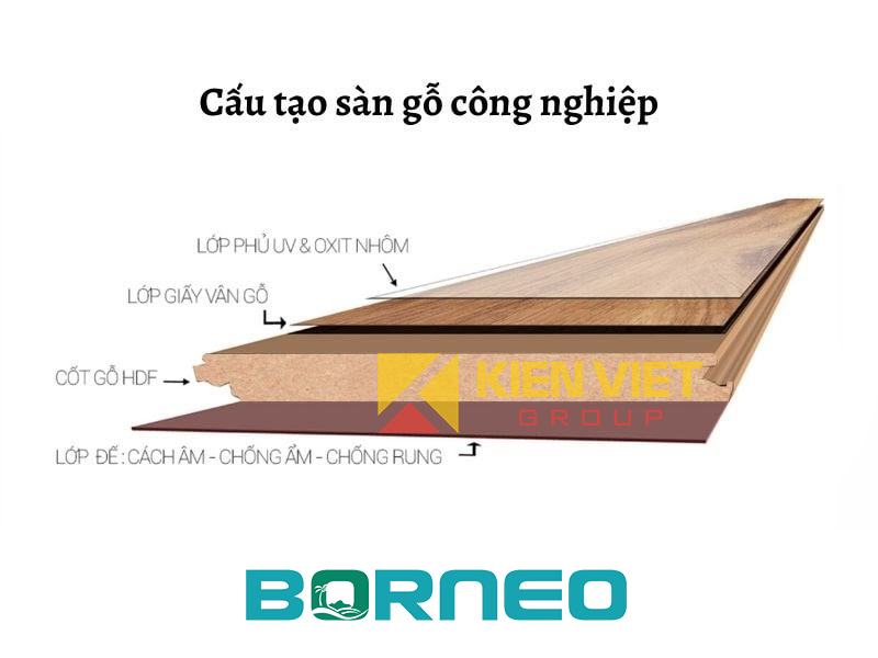 cấu tạo sàn gỗ công nghiệp Borneo