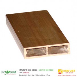 Thanh định hình mỏng 100x25mm Biowood S4SI10025