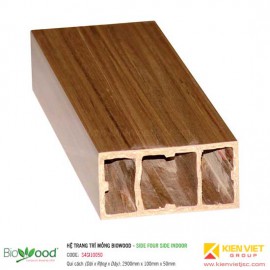 Thanh định hình mỏng 100x50mm Biowood S4SI10050