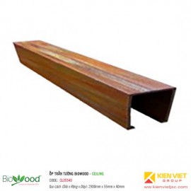 Gỗ ốp trần, tường 55x40mm Biowood CL05540