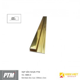 Nẹp sàn nhựa PTM | MB5.0