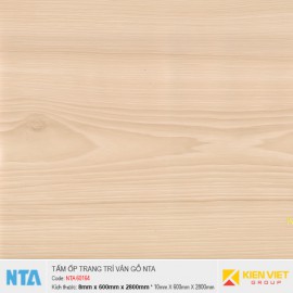 Tấm ốp nhựa đá vân gỗ NTA 60164 | 8mm