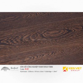 Sàn gỗ công nghiệp Rainforest IR-81 AC4 | 8mm
