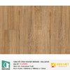 Sàn gỗ Inovar Nanoshield TV879RN Sumatran Teak | 12mm
