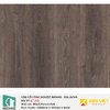 Sàn gỗ công nghiệp Inovar - Malaysia ET302 BlackForest Oak | 8mm