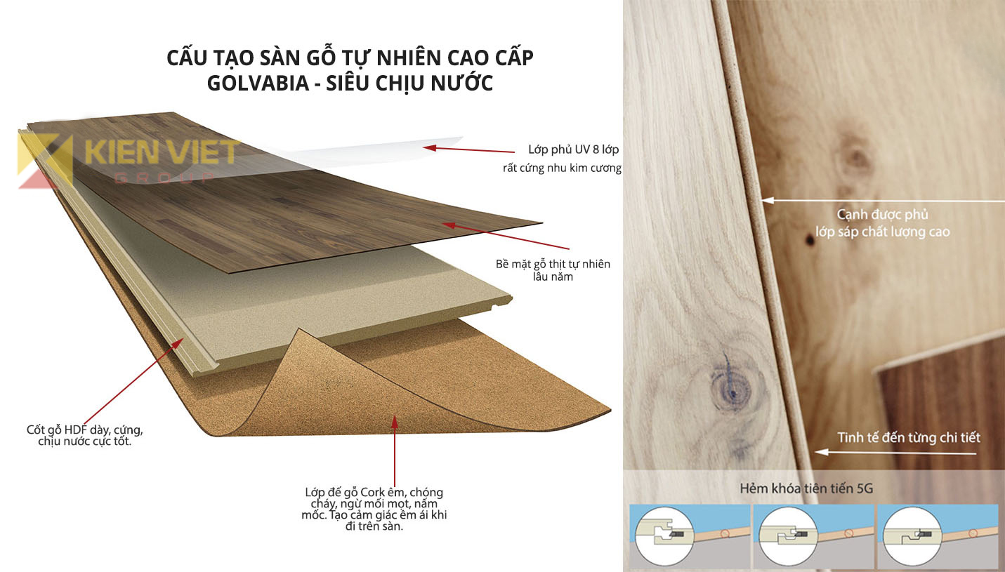 cấu tạo sàn gỗ công nghiệp golvabia