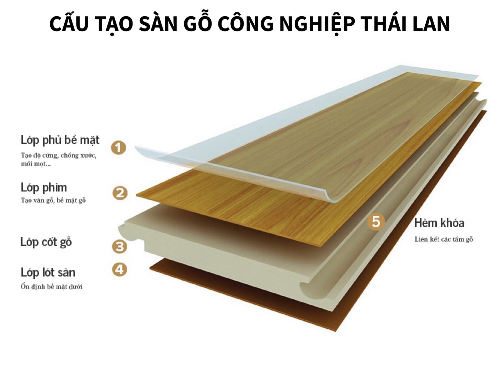 cấu tạo sàn gỗ công nghiêp Thái Lan